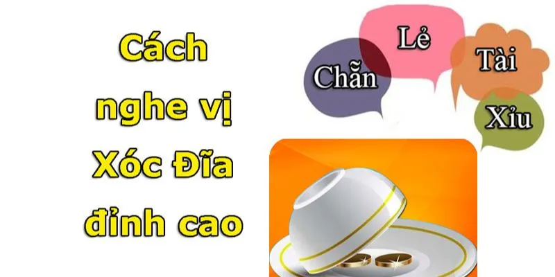 Hướng Dẫn Cách Nghe Vị Xóc Đĩa Bất Bại Cho Các Tân Binh 